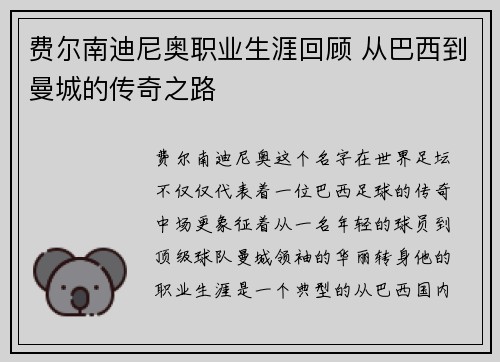 费尔南迪尼奥职业生涯回顾 从巴西到曼城的传奇之路