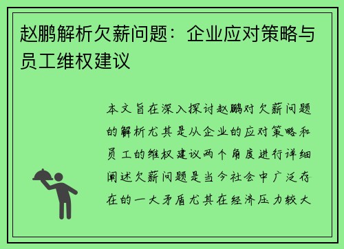 赵鹏解析欠薪问题：企业应对策略与员工维权建议